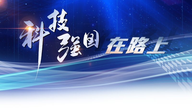 企业数据安全备份：策略选择与厂家评估要点